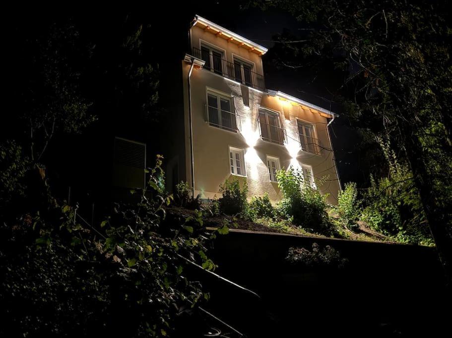 Zur Donauinsel Daire Bad Abbach Dış mekan fotoğraf
