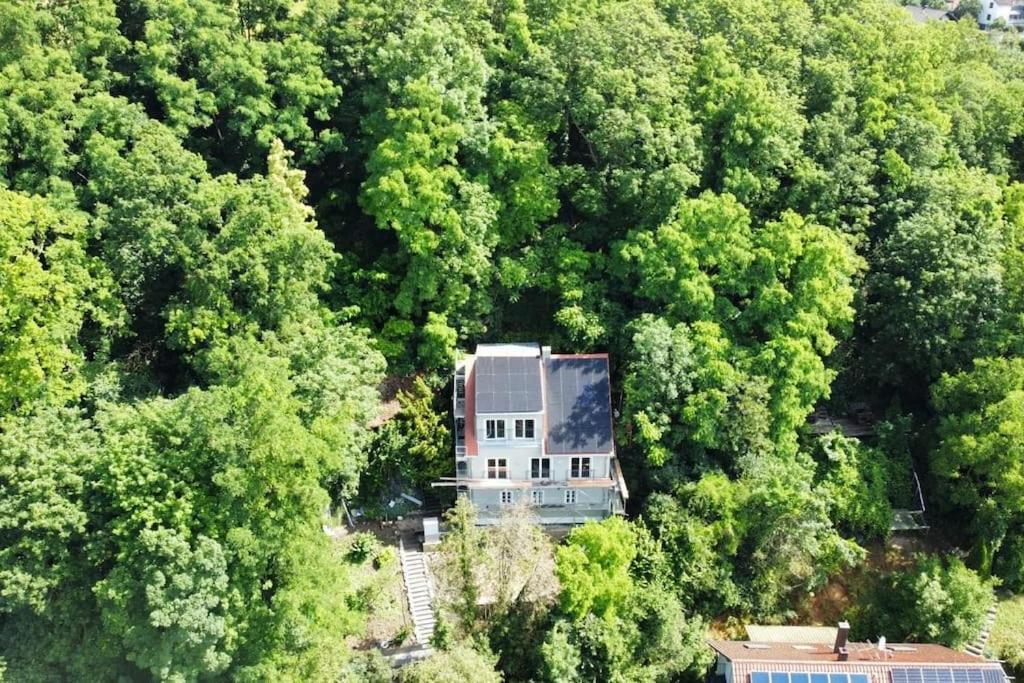 Zur Donauinsel Daire Bad Abbach Dış mekan fotoğraf